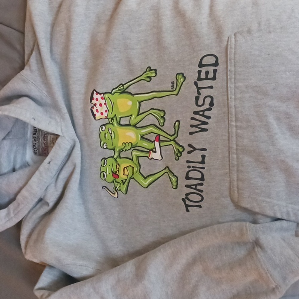Gray Hoodie with Frog Graphic